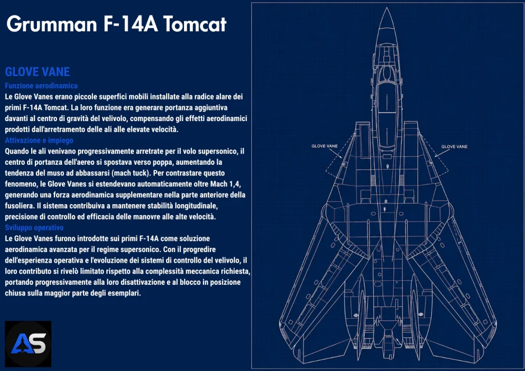 Glove Vane F-14A