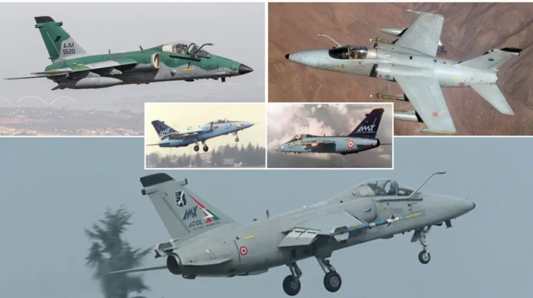 Immagine dell'articolo AMX